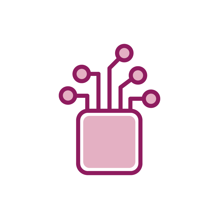 Berry Technology Icon