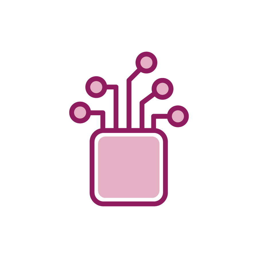 Berry Technology Icon