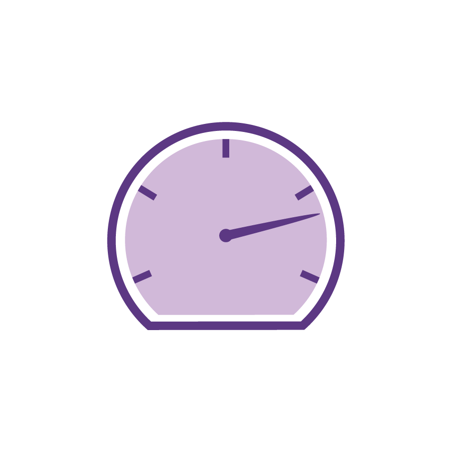 Plum Fast Clock Icon