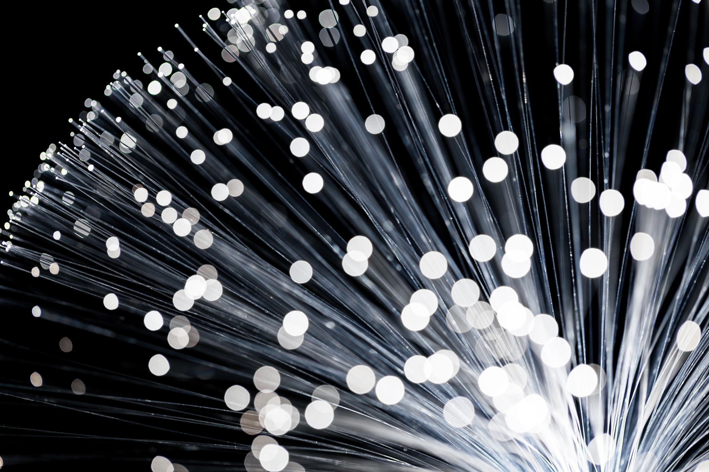 From Startup to Scalable Success: How a BSS Can Help Grow Your Fiber Business, Fast