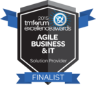 TM Forum Excellent Finalist Logo